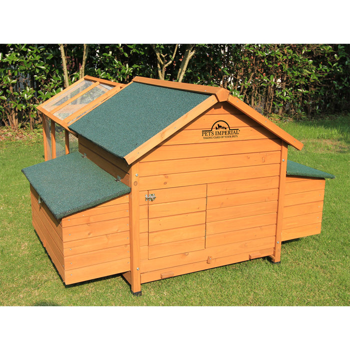 Tucker Murphy Pet™ Pets Imperial® Double Savoy Chicken Coop with 2 Nest